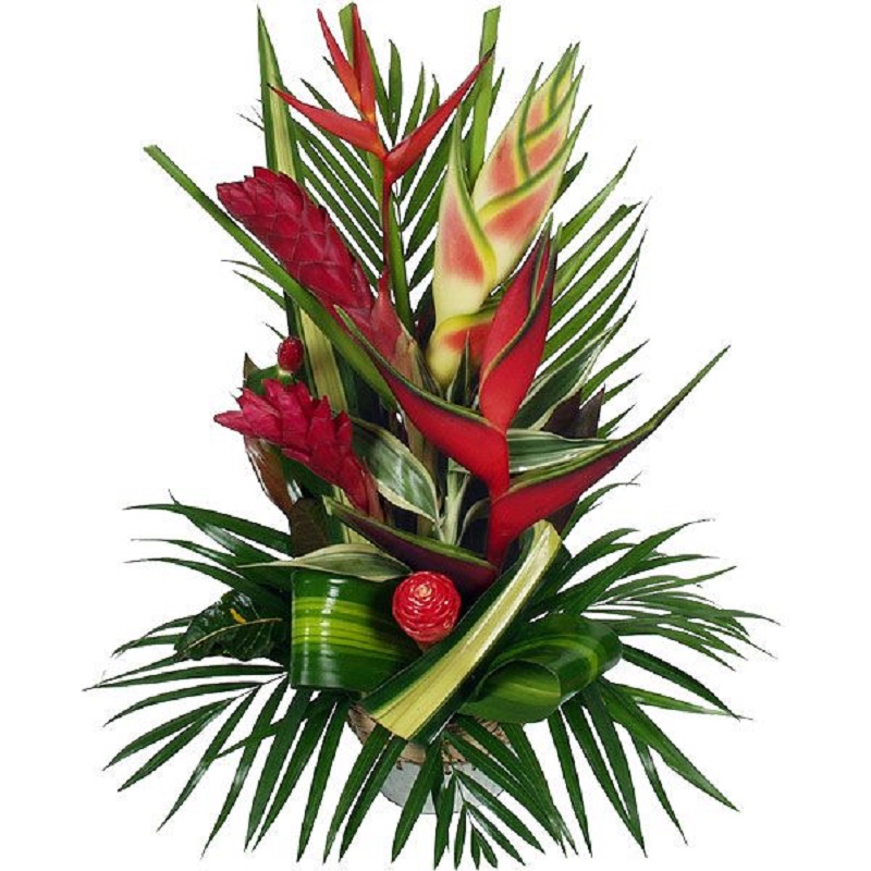 fleurs exotiques_icielabas